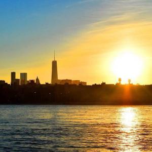 Website update Website update